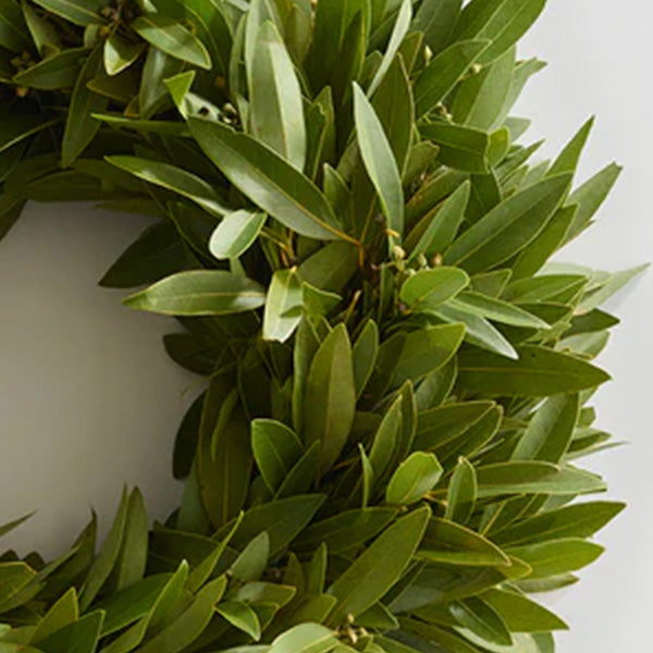 16 Inch Culinary Bay Leaf Wreath, Choose Your Style